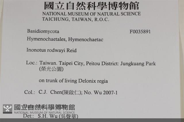 登錄號:F0035891藏品圖，第2張