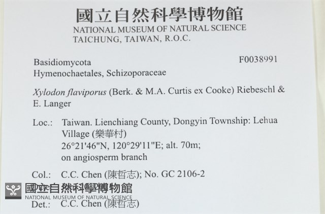 登錄號:F0038991藏品圖，第2張