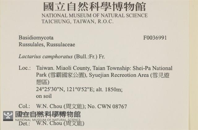 登錄號:F0036991藏品圖，第2張