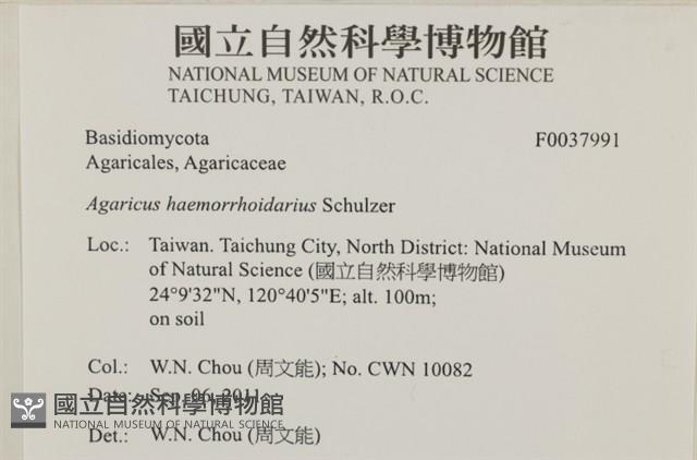 登錄號:F0037991藏品圖，第2張