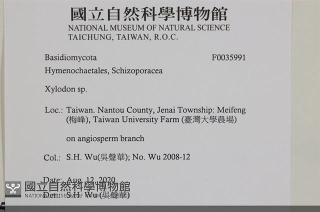 登錄號:F0035991藏品圖，第2張