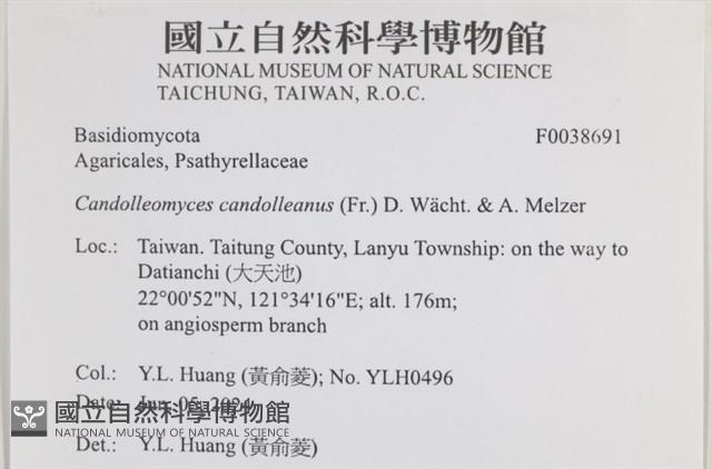 登錄號:F0038691藏品圖，第2張