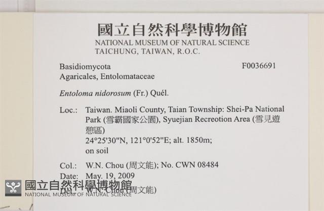 登錄號:F0036691藏品圖，第2張