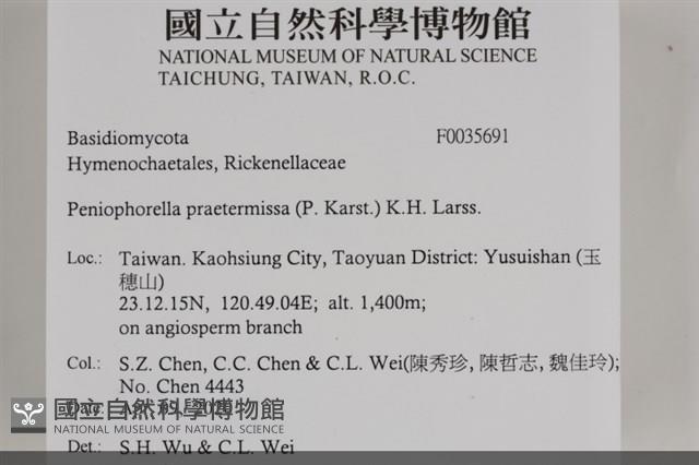 登錄號:F0035691藏品圖，第2張