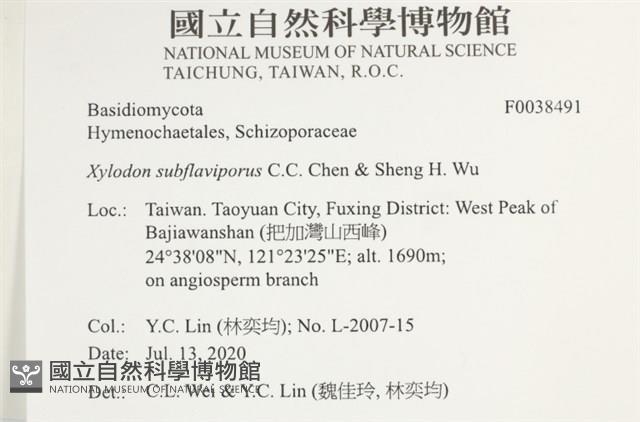 登錄號:F0038491藏品圖，第2張