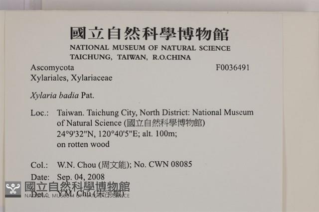 登錄號:F0036491藏品圖，第2張