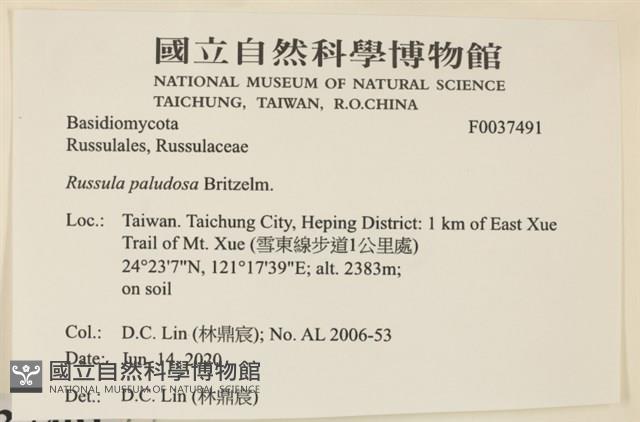 登錄號:F0037491藏品圖，第2張
