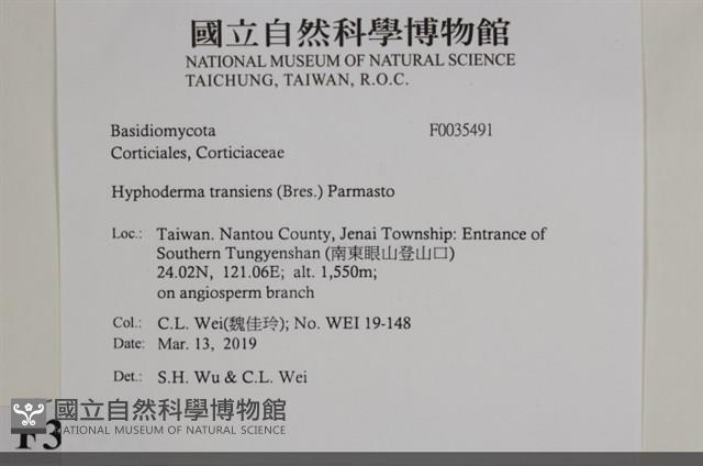 登錄號:F0035491藏品圖，第2張