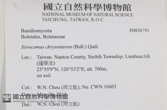 登錄號:F0038791藏品圖，第2張