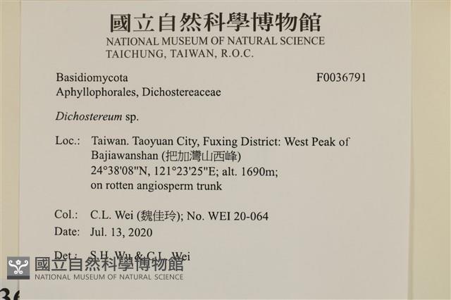 登錄號:F0036791藏品圖，第2張