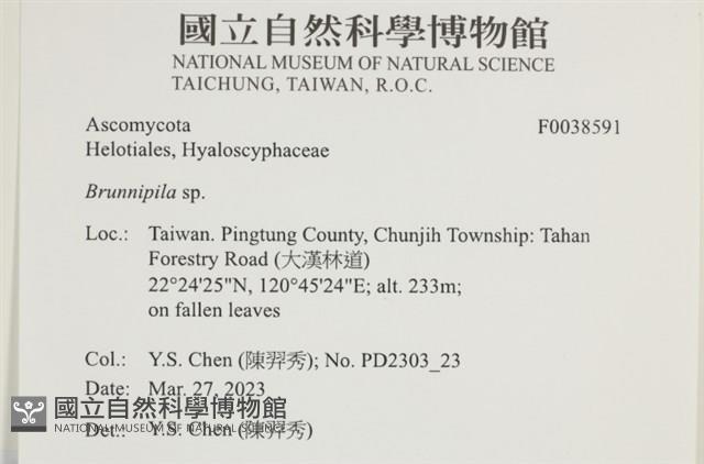 登錄號:F0038591藏品圖，第2張