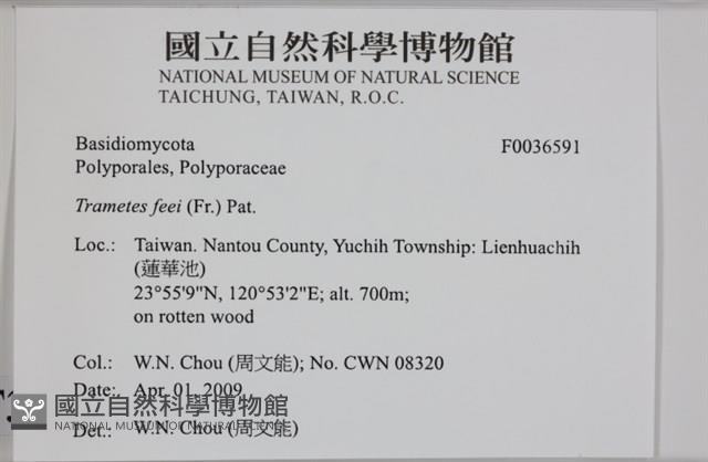 登錄號:F0036591藏品圖，第2張