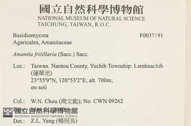 登錄號:F0037191藏品圖，第2張