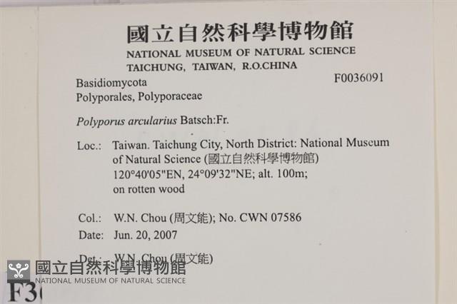 登錄號:F0036091藏品圖，第2張