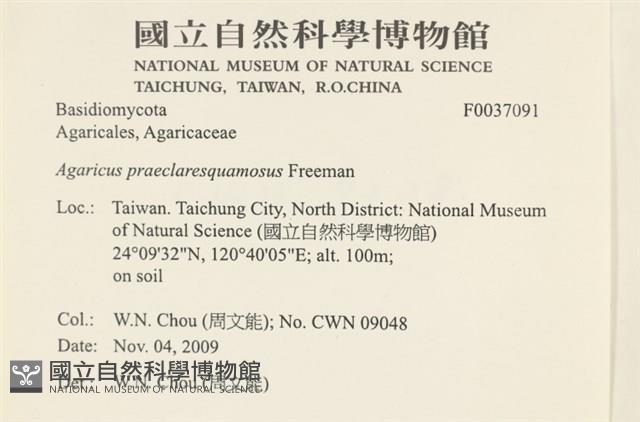 登錄號:F0037091藏品圖，第2張