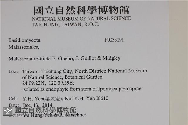 登錄號:F0035091藏品圖，第2張