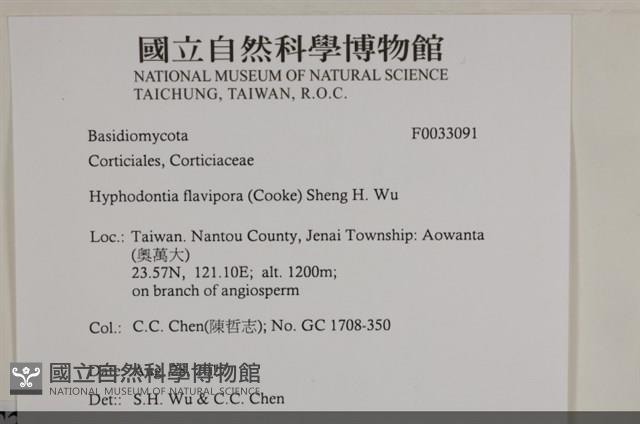 登錄號:F0033091藏品圖，第3張
