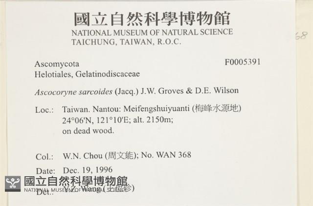 登錄號:F0005391藏品圖，第3張