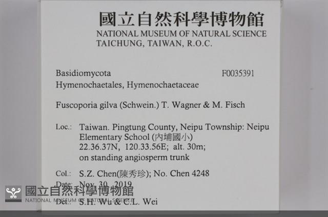 登錄號:F0035391藏品圖，第2張