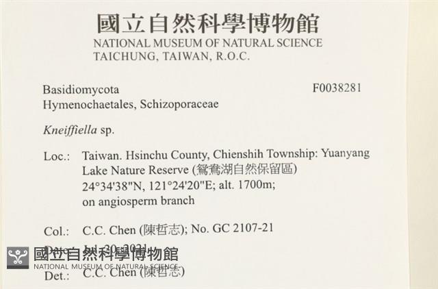 登錄號:F0038281藏品圖，第2張