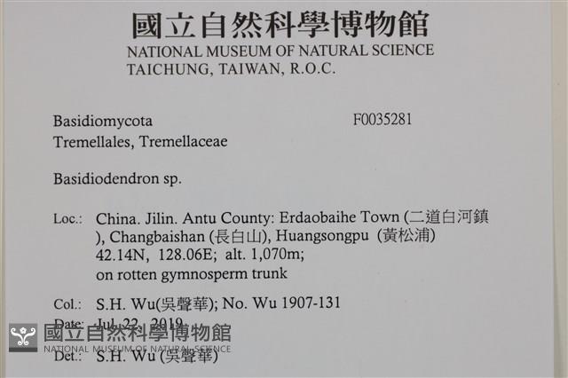 登錄號:F0035281藏品圖，第2張