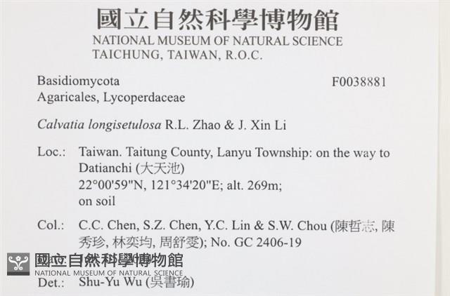 登錄號:F0038881藏品圖，第2張