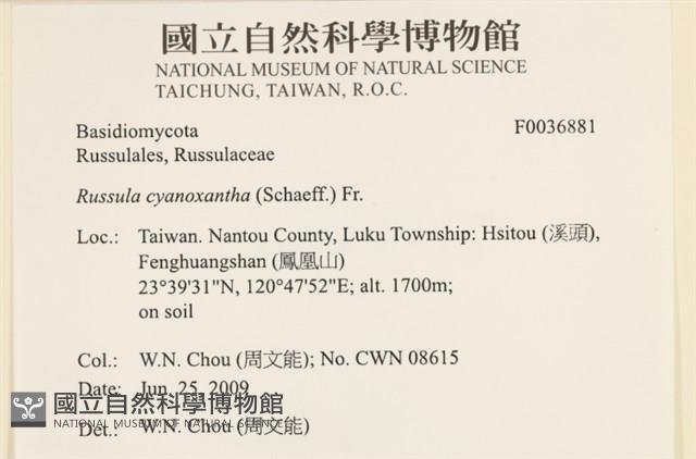 登錄號:F0036881藏品圖，第2張