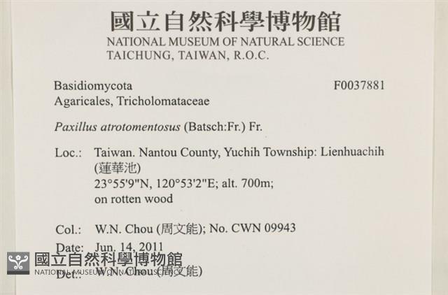登錄號:F0037881藏品圖，第2張