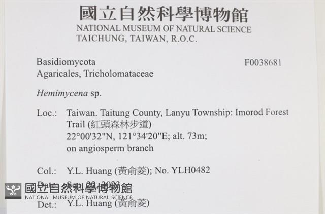 登錄號:F0038681藏品圖，第2張