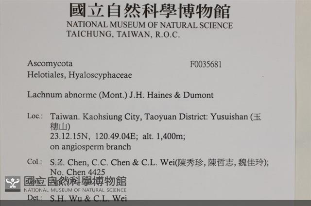 登錄號:F0035681藏品圖，第2張