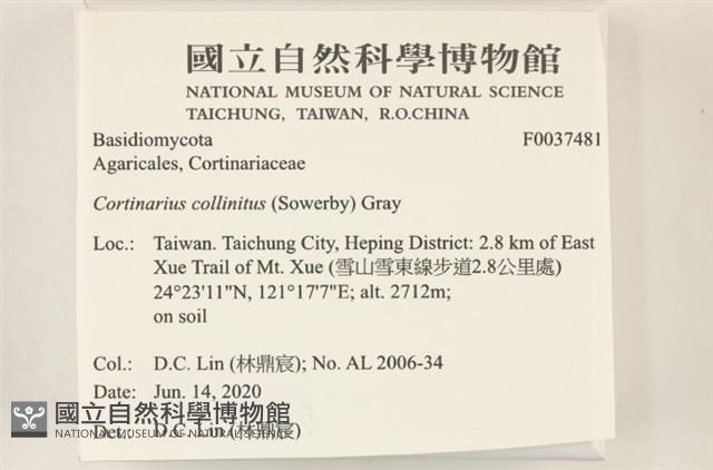登錄號:F0037481藏品圖，第2張