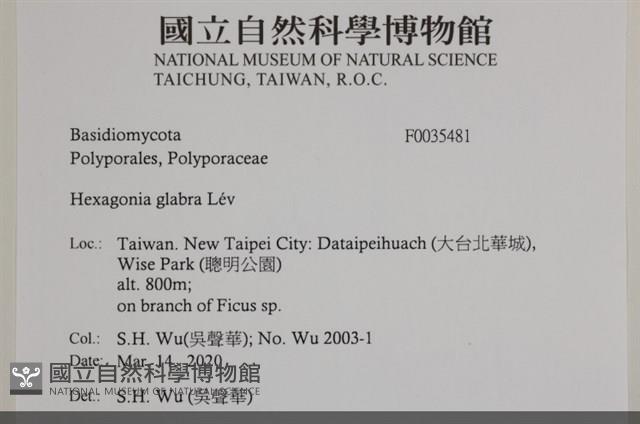 登錄號:F0035481藏品圖，第2張