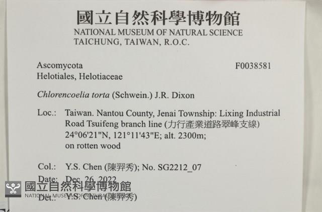 登錄號:F0038581藏品圖，第2張