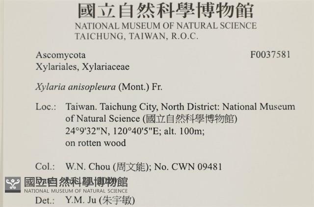 登錄號:F0037581藏品圖，第2張