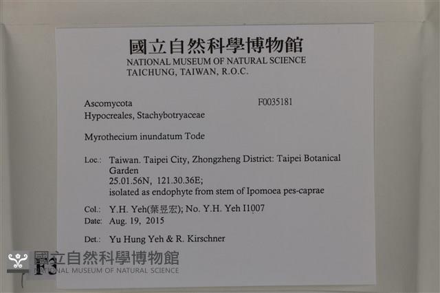 登錄號:F0035181藏品圖，第2張