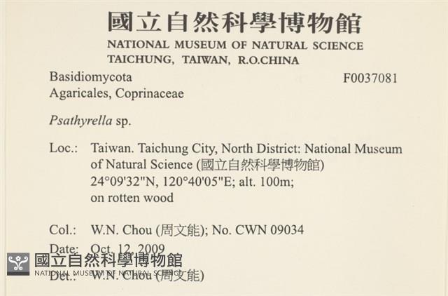 登錄號:F0037081藏品圖，第2張