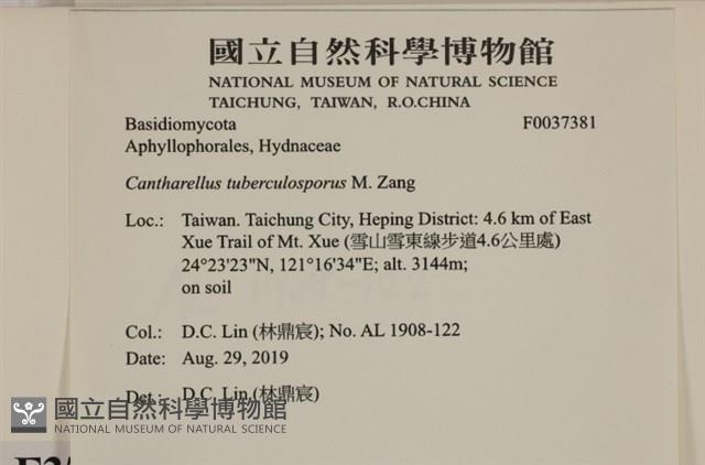 登錄號:F0037381藏品圖，第2張