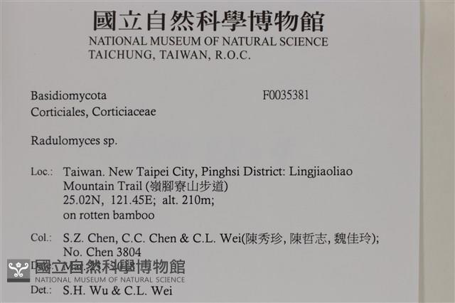 登錄號:F0035381藏品圖，第2張