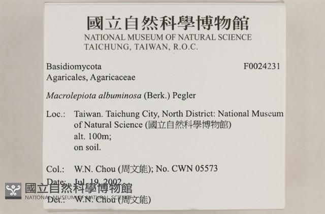 登錄號:F0024231藏品圖，第4張