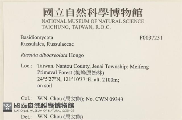 登錄號:F0037231藏品圖，第2張