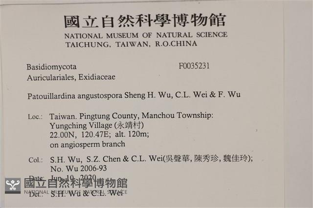 登錄號:F0035231藏品圖，第2張