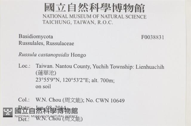 登錄號:F0038831藏品圖，第2張