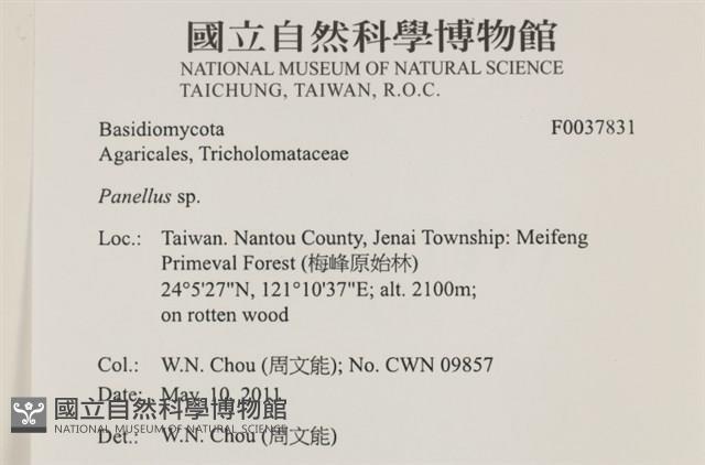 登錄號:F0037831藏品圖，第2張