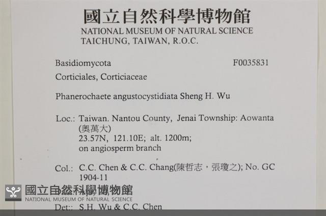 登錄號:F0035831藏品圖，第2張