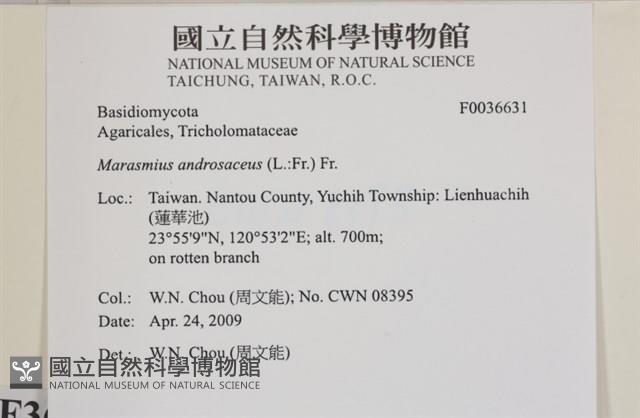 登錄號:F0036631藏品圖，第2張