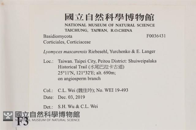 登錄號:F0036431藏品圖，第2張