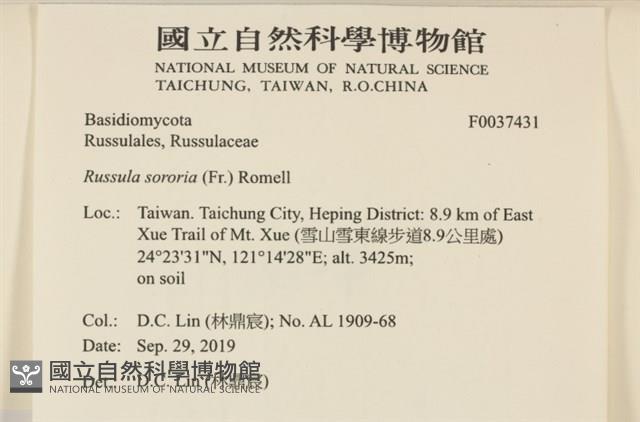 登錄號:F0037431藏品圖，第2張