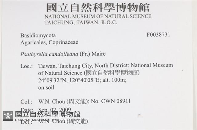 登錄號:F0038731藏品圖，第2張