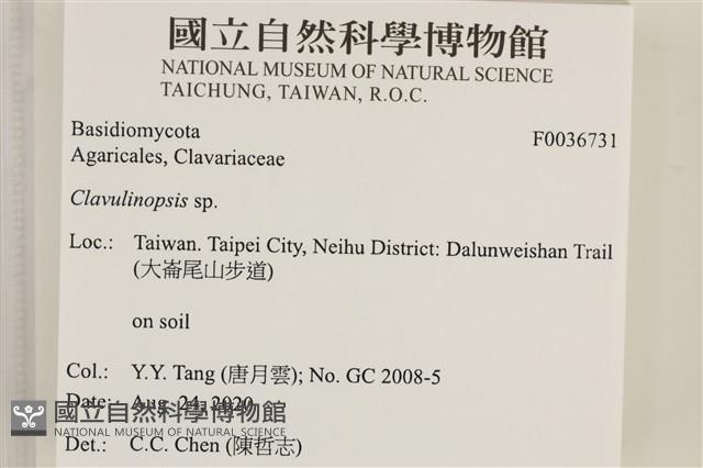 登錄號:F0036731藏品圖，第2張