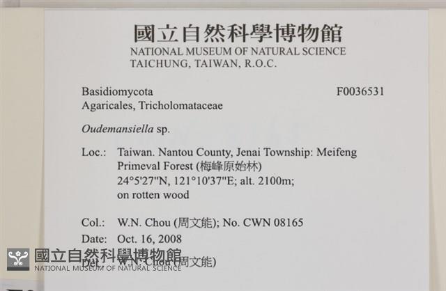 登錄號:F0036531藏品圖，第2張